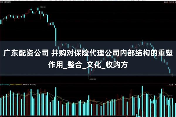 广东配资公司 并购对保险代理公司内部结构的重塑作用_整合_文化_收购方