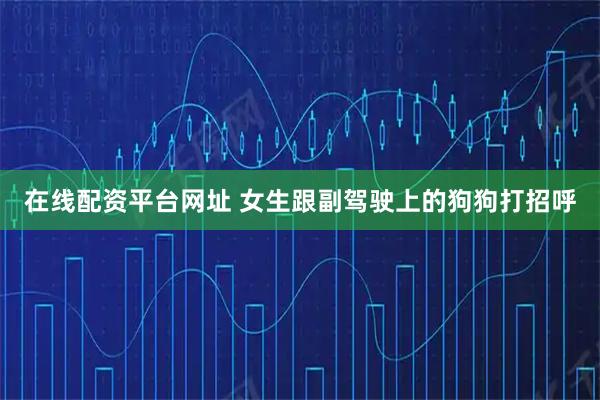 在线配资平台网址 女生跟副驾驶上的狗狗打招呼