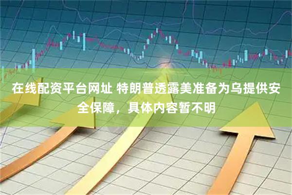在线配资平台网址 特朗普透露美准备为乌提供安全保障，具体内容暂不明